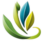LIFE HEALTH STORE